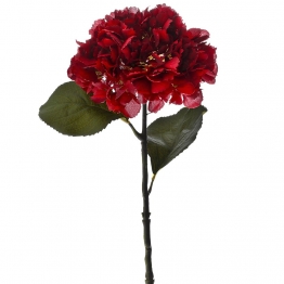 Λουλούδι Ορτανσία Κόκκινη iliadis 56εκ. 77921