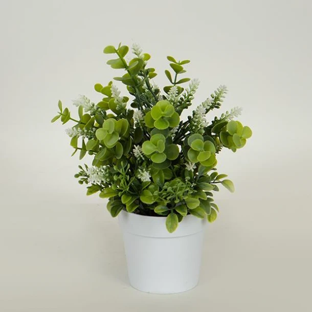 Γλαστράκι Με Φυτό Ανθάκι Πράσινο-Λευκό 22εκ. ESTHETI 758-14058
