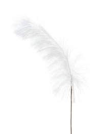 Κλαδί Pampas Λευκό 74εκ. Zen Collection 25.32.51790