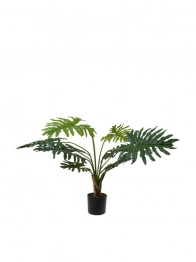 Διακοσμητικό Φυτό Φιλόδεντρο 120εκ. Zen Collection 25.31.51769