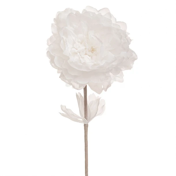 Κλαδί Παιώνια Λευκή 63εκ. iliadis 90466