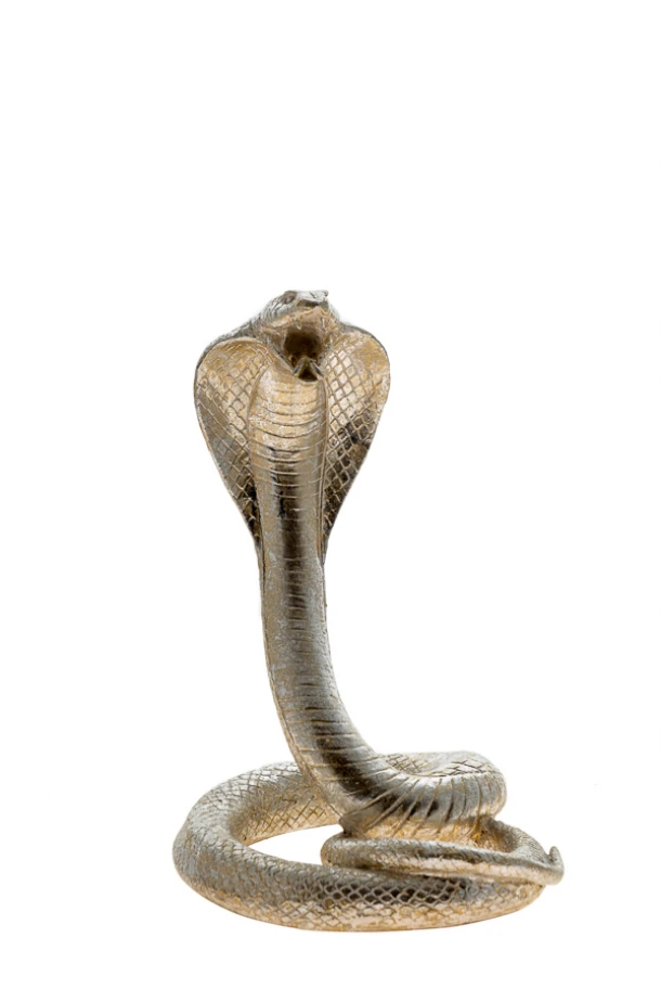 Διακοσμητική Επιτραπέζια Κόμπρα Polyester Ασημί 14,5x12,5x20,8εκ. Zen Collection 20.7.46402