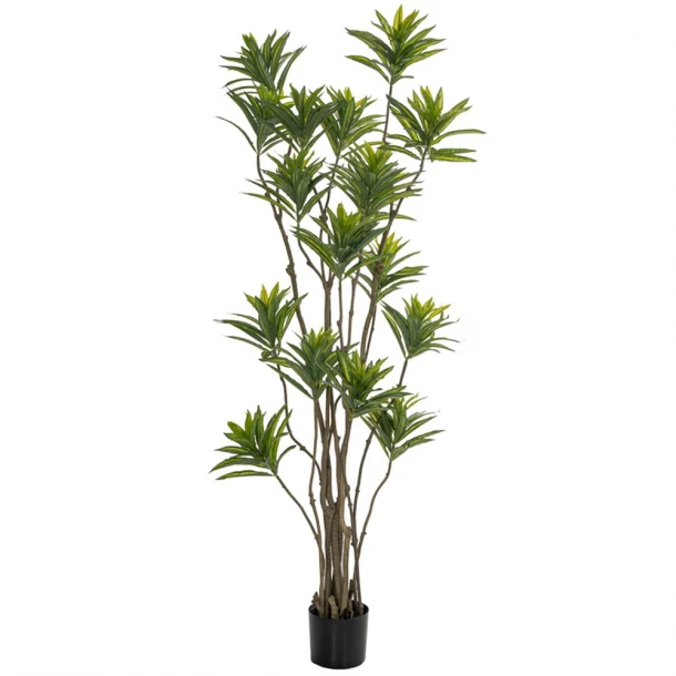 Διακοσμητικό Φυτό Bamboo Πράσινο 180εκ. iliadis 85117