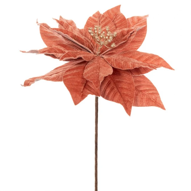 Χριστουγεννιάτικο Λουλούδι Αλεξανδρινό Κοραλί 30x50εκ. iliadis 86317