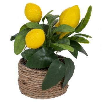 Γλαστράκι Με Λεμονιά 16εκ. iliadis 93006