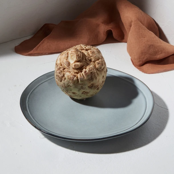 Πιάτο Ρηχό Φαγητού Stoneware Pacific 27x27x3εκ. Deline Estia 07-24550