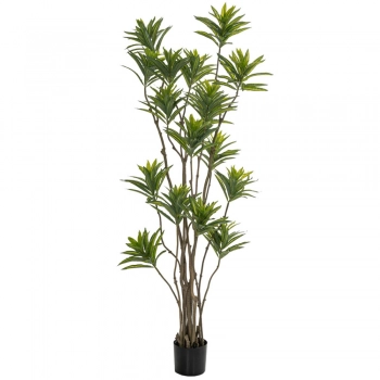 Διακοσμητικό Φυτό Bamboo Πράσινο 180εκ. iliadis 85117