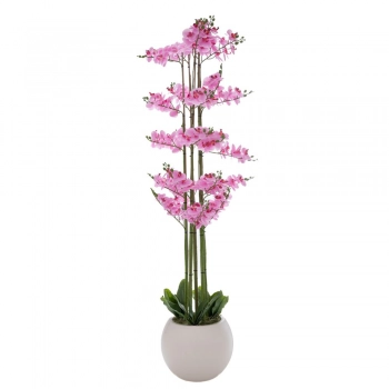 Ορχιδέα Ροζ Phalenopsis Σε Εκρού Κεραμικό Κασπώ 190εκ. iliadis 92665