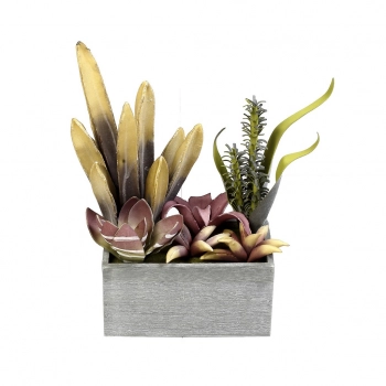 Γλαστράκι Με Παχύφυτο Μπεζ 38εκ. ESPIEL MAP232K4