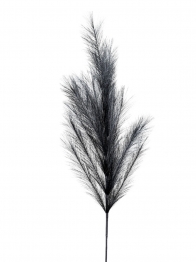 Κλαδί Pampas Μαύρο 110εκ. Zen Collection 25.32.51784