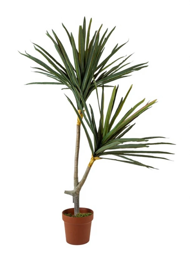 Διακοσμητικό Φυτό Γιούκα 110εκ. Zen Collection 25.31.51778