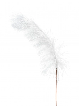 Κλαδί Pampas Λευκό 74εκ. Zen Collection 25.32.51790