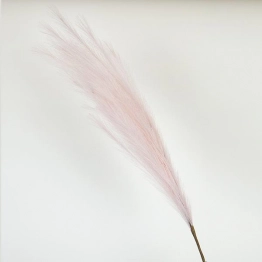 Κλαδί Pampas Ροζ 112εκ. ESTHETI 758-12135