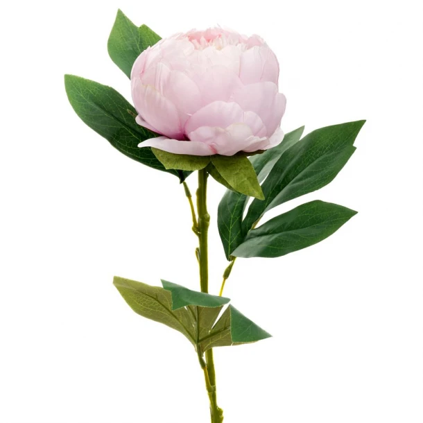 Κλαδί Παιώνια Λιλά 66εκ. iliadis 89812