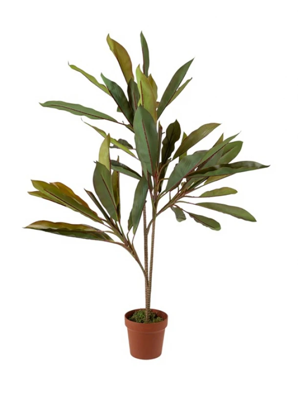 Διακοσμητικό Φυτό Κορδυλίνη 110εκ. Zen Collection 25.31.51776