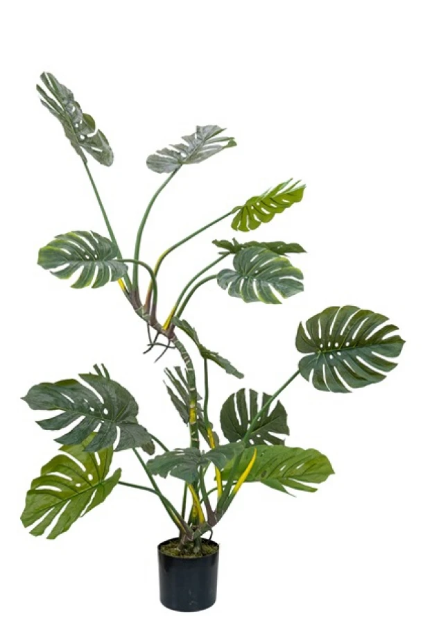 Διακοσμητικό Φυτό Monstera 155εκ. Zen Collection 24.29.49969