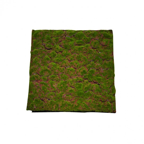 Επιφάνεια Βρύα Πράσινη 100x100εκ. MSA 20-99-024