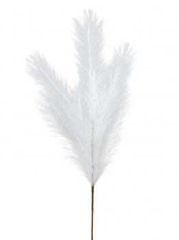 Κλαδί Pampas Λευκό 80εκ. Zen Collection 25.32.51785
