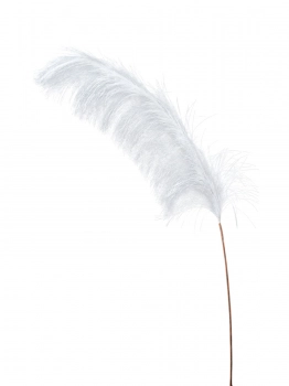 Κλαδί Pampas Κρεμ 74εκ. Zen Collection 25.32.51791