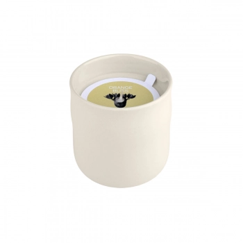 Αρωματικό Κερί Orange Bliss 289gr Estia 04-36492