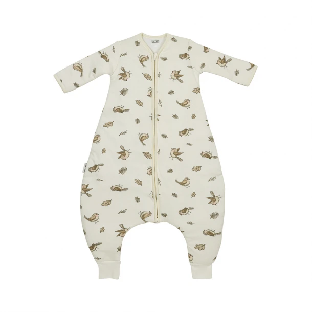 Υπνόσακος Βαμβακερός Με Μανίκια & Ποδαράκια 2.5Tog 3-5 Χρονών/98-110εκ. Robin Meyco MEY-253.224.00.06