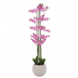 Ορχιδέα Ροζ Phalenopsis Σε Εκρού Κεραμικό Κασπώ 190εκ. iliadis 92665