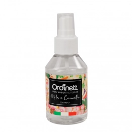 Αρωματικό Spray Δωματίου & Ρούχων 100ml Apple & Cinammon Giostyle GS07849029