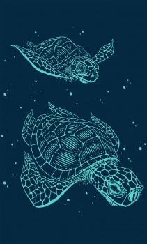 Πετσέτα Θαλάσσης 2 Όψεων Βαμβακερή Βελουτέ 87x165εκ. Ζακάρ 234 DimCol