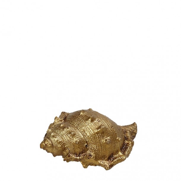 Διακοσμητικό Επιτραπέζιο Κοχύλι Polyresin Χρυσό ESPIEL Assort 7,5x4,5x4εκ. MT2735K6