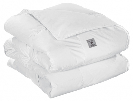 Πάπλωμα Πουπουλένιο-Βαμβακερό Μονό 160x220εκ. Normal Guy Laroche