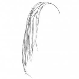 Χριστουγεννιάτικο Κλαδί Κρεμαστό Ασημί 120εκ. iliadis 90374