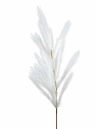 Κλαδί Pampas Λευκό 110εκ. Zen Collection 25.32.51779