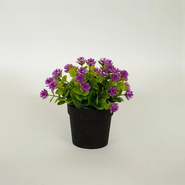 Γλαστράκι Με Φυτό Ανθάκι Πράσινο-Ροζ 16εκ. ESTHETI 758-14057