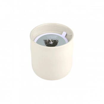 Αρωματικό Κερί Whispers of Sage 289gr Estia 04-36485