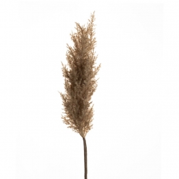 Κλαδί Με Pampas Καφέ 100εκ. iliadis 84721