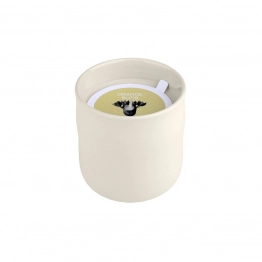 Αρωματικό Κερί Orange Bliss 289gr Estia 04-36492