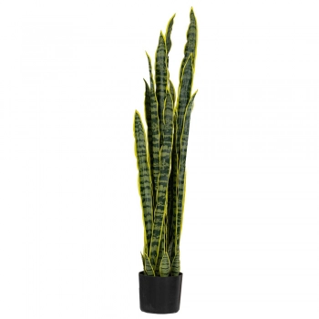 Φυτό Με 30 Φύλλα Sansevieria Πράσινο 115εκ. iliadis 89788