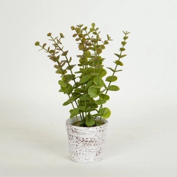 Γλαστράκι Πλαστικό Με Φυτό Πράσινο 29εκ. ESTHETI 758-14010