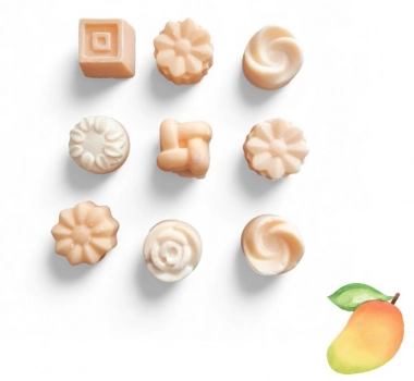 Σετ 9τμχ Αρωματικά Wax Melts Mango WXM09