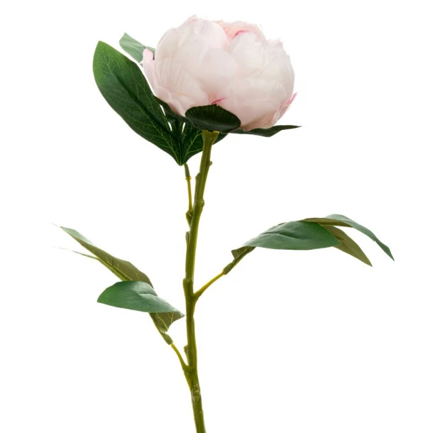 Κλαδί Παιώνια Ροζ 66εκ. iliadis 89811