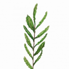 Κλαδί Με Φύλλα Πράσινο Art Et Lumiere 80εκ. 08641