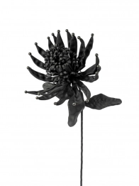 Λουλούδι Μαύρο 68εκ. Zen Collection 25.13.51638