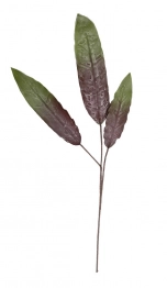 Λουλούδι Πράσινο ESPIEL 86εκ. LOL1436K6