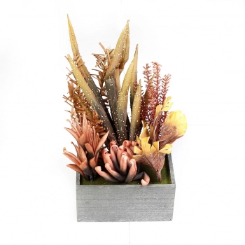 Γλαστράκι Με Παχύφυτο Σομόν 45εκ. ESPIEL MAP237K4