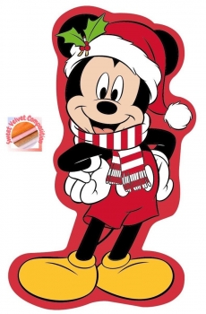 Διακοσμητικό Μαξιλάρι 3D Velboa 35εκ. isney Home Mickey 37 Red DimCol