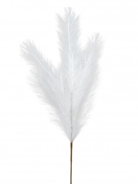 Κλαδί Pampas Λευκό 80εκ. Zen Collection 25.32.51785