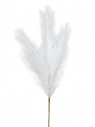 Κλαδί Pampas Λευκό 80εκ. Zen Collection 25.32.51785