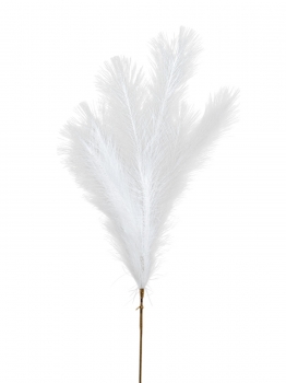 Κλαδί Pampas Κρεμ 80εκ. Zen Collection 25.32.51786