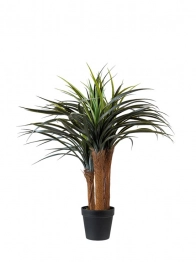 Διακοσμητικό Φυτό Γιούκα 70εκ. Zen Collection 25.31.51772