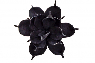 Λουλούδι Μαύρο Art Et Lumiere 18εκ. 09569